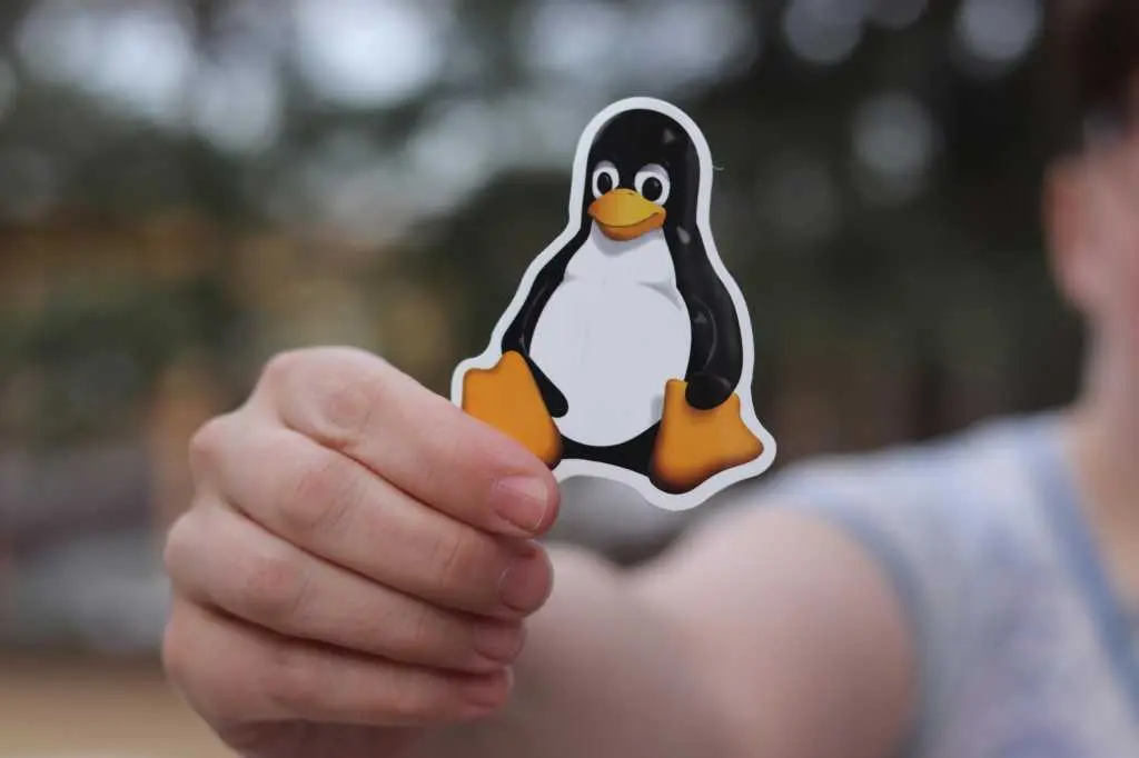AI OK in Linux development, says Torvalds