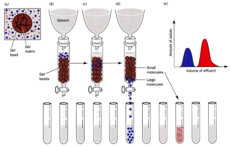 Advances in Affinity Chromatography for Protein Engineering