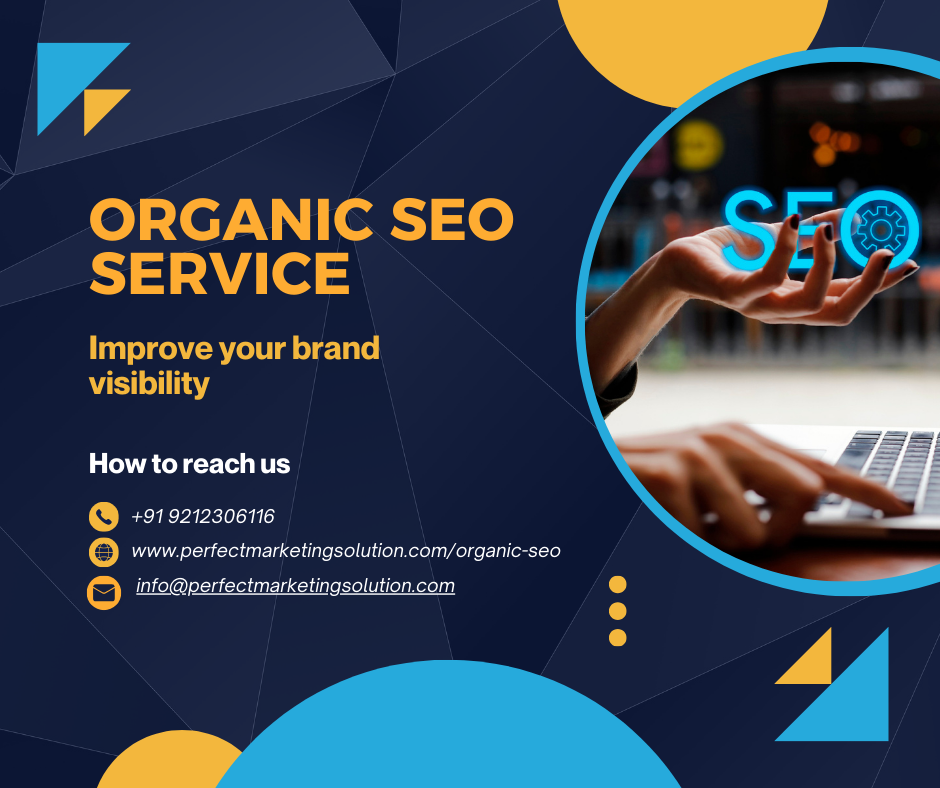 Plant Seeds for Visibility The Complete Plan for Organic SEO